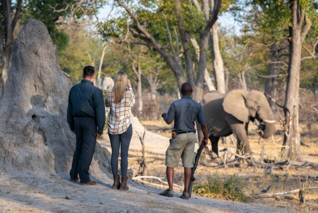 6 Days Chobe National Park, Savuti Channel & Okavango Delta Botswana Safari