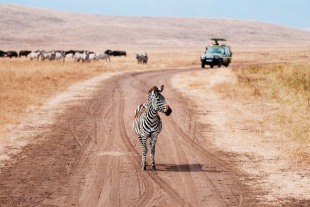 5 Days Tarangire, Serengeti, Ngorongoro and Lake Manyara Group Joining Safari