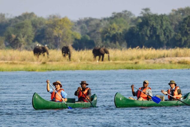 10 Days Zimbabwe Safari Tour
