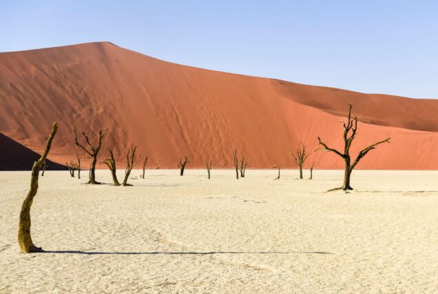 9 Days Namibia Luxury Safari Tour