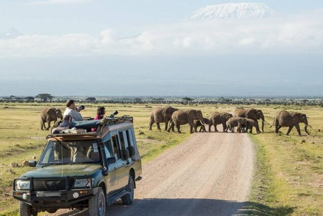 8 Days Maasai Mara, Lake Nakuru, Lake Naivasha, and Amboseli Group Joining Budget Safari