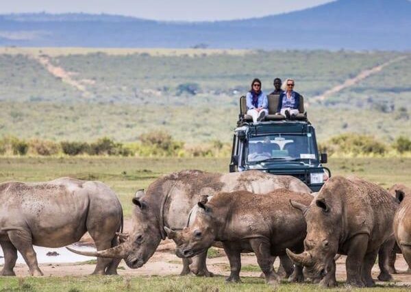7 Days Kenya Safari: Maasai Mara, Lake Nakuru, Naivasha, Bogoria & Amboseli